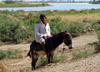 Boy On Donkey